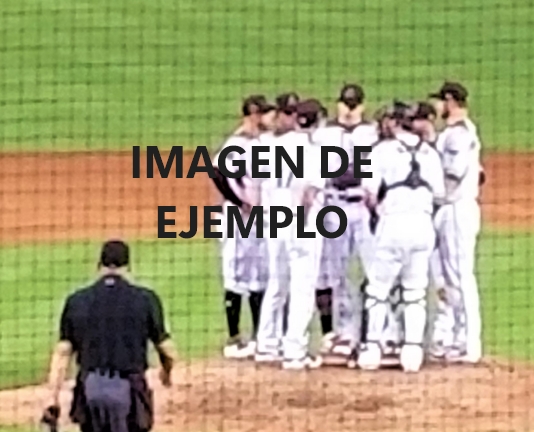 Grupo 21
