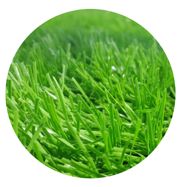 mvgrass-inicio-imagen-pasto